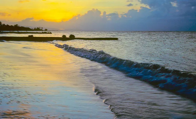 Vuelos económicos de Nueva York a Montego Bay con American Airlines desde 317 dólares