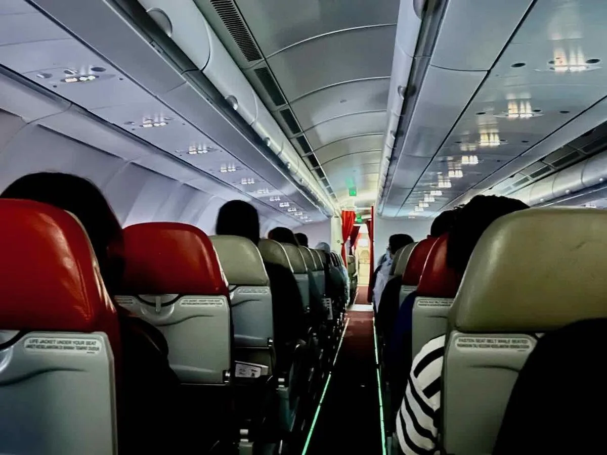 Aerolíneas que permiten comprar un asiento para perros en 2026