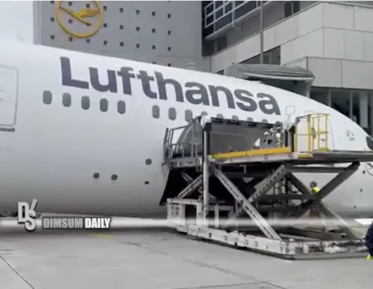 Colapso del tren de aterrizaje delantero de un Boeing 787 de Lufthansa en Frankfurt deja heridos