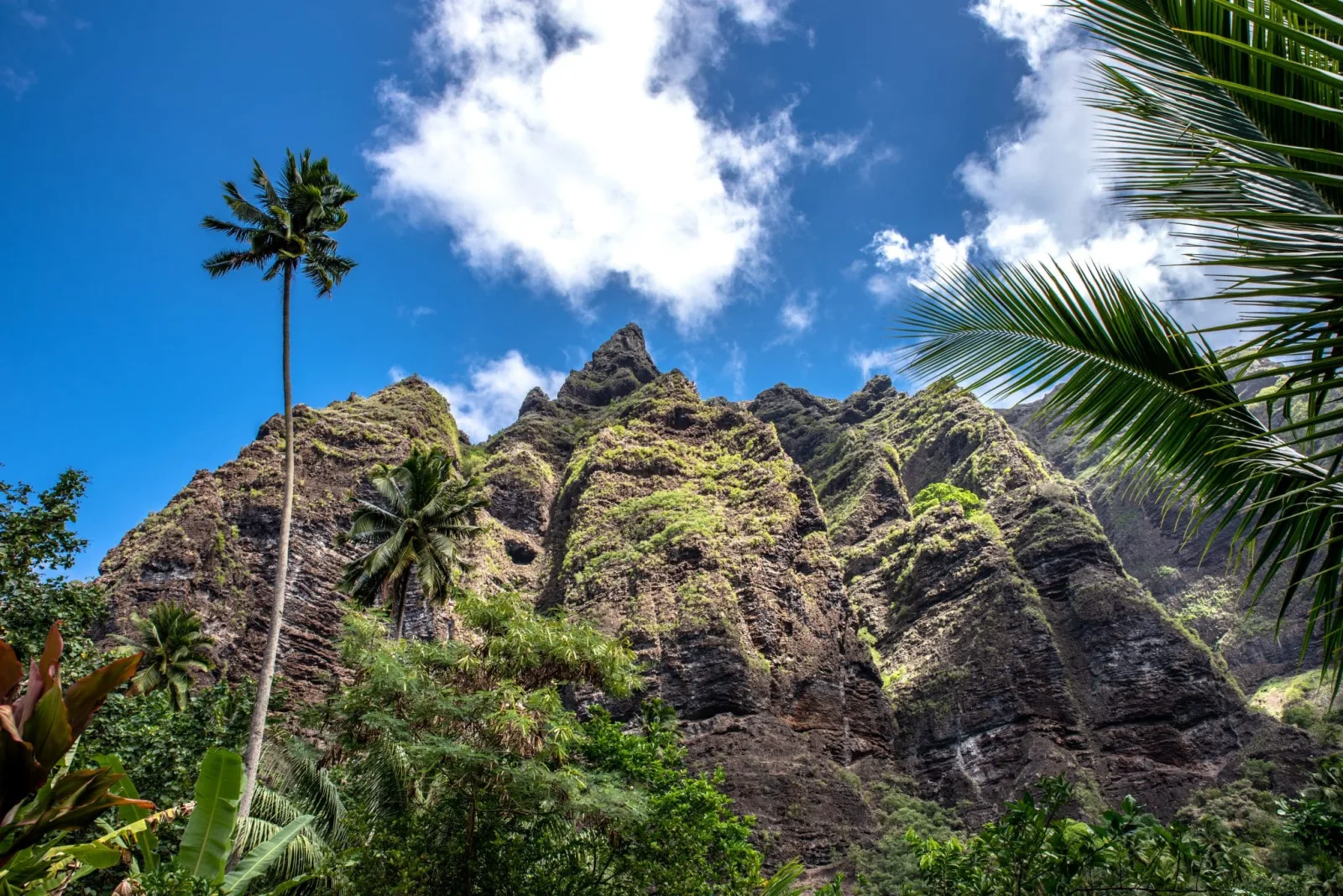 Tahití amplía conexiones entre islas con nuevos vuelos y experiencias para viajeros
